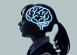 Brain Targeted Teaching